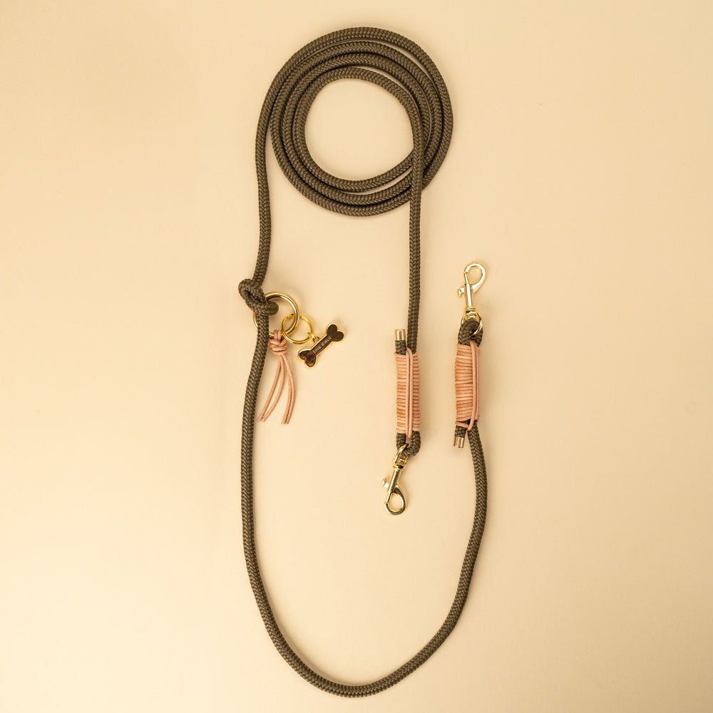 Wild and Free dog leash