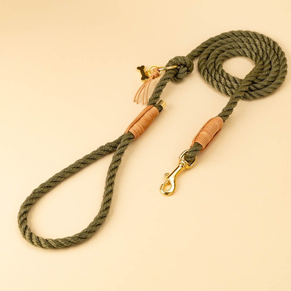 Wild and Free dog leash