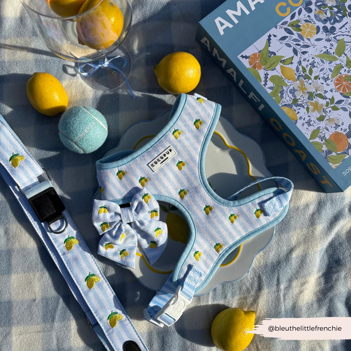 Motýlek Cocopup - Living la vida Lemon Sailor