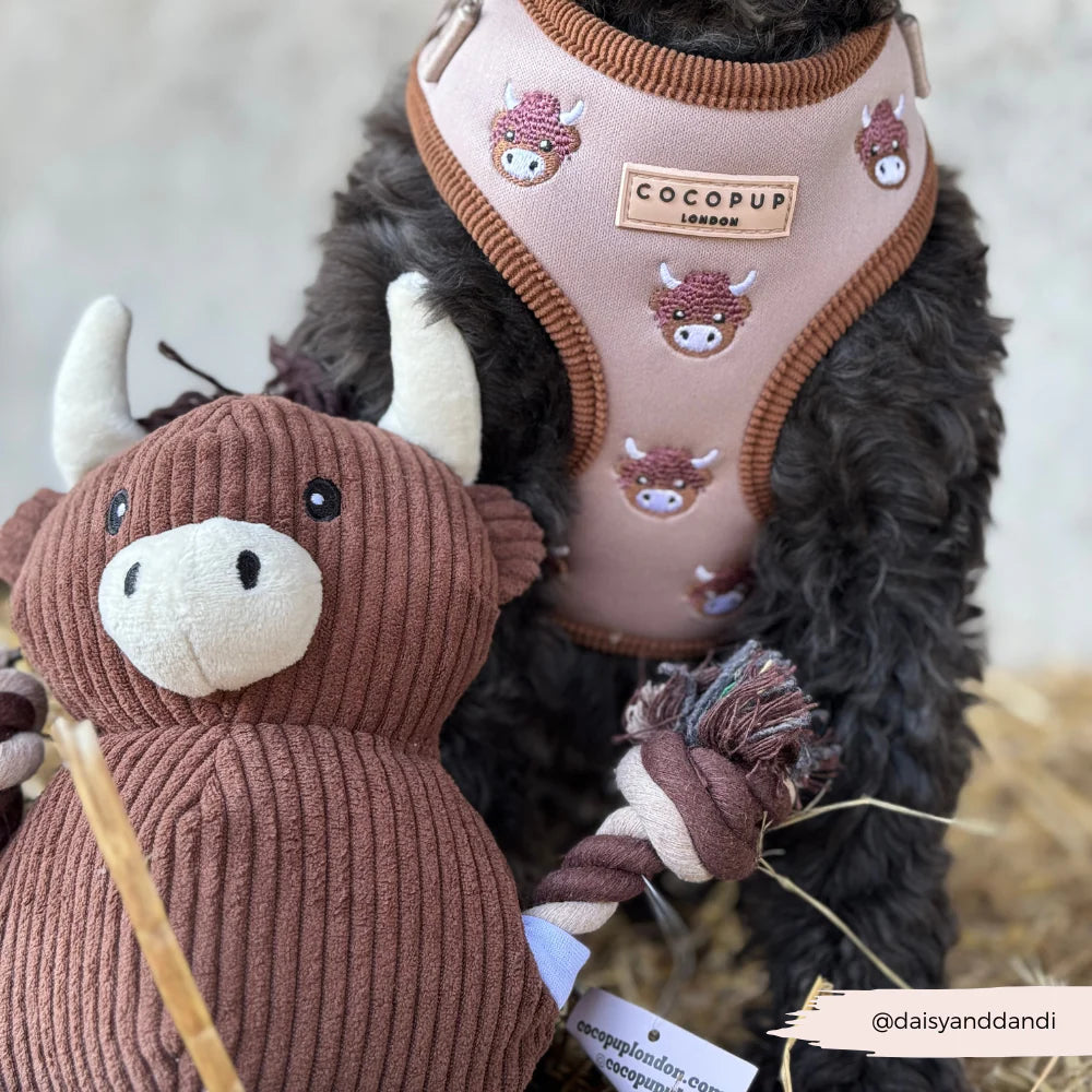 Cocopup hračka Harold the Highland Cow