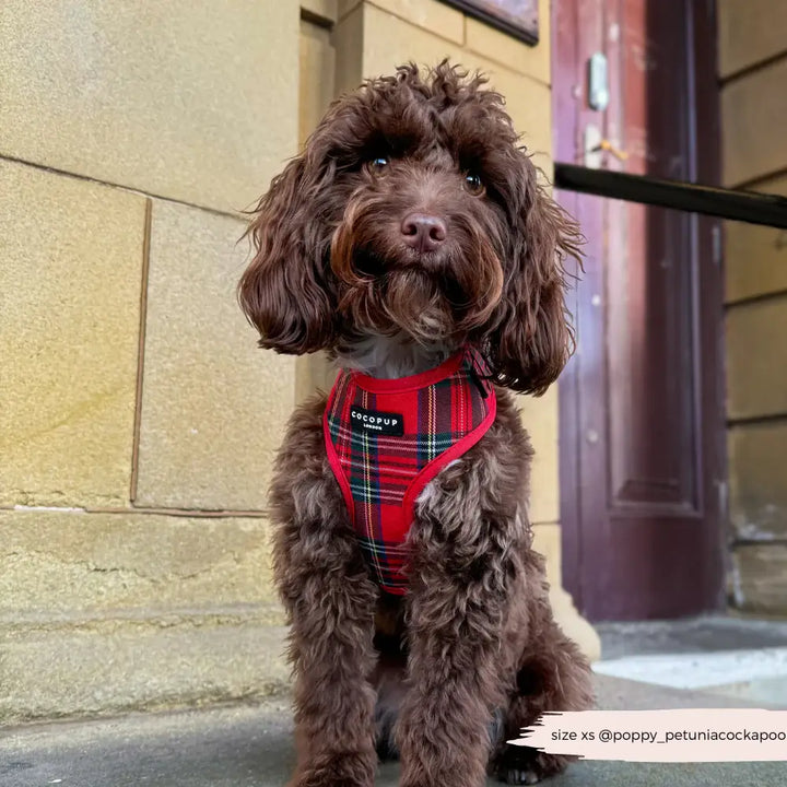 Nastavitelný postroj Cocopup - Tartan