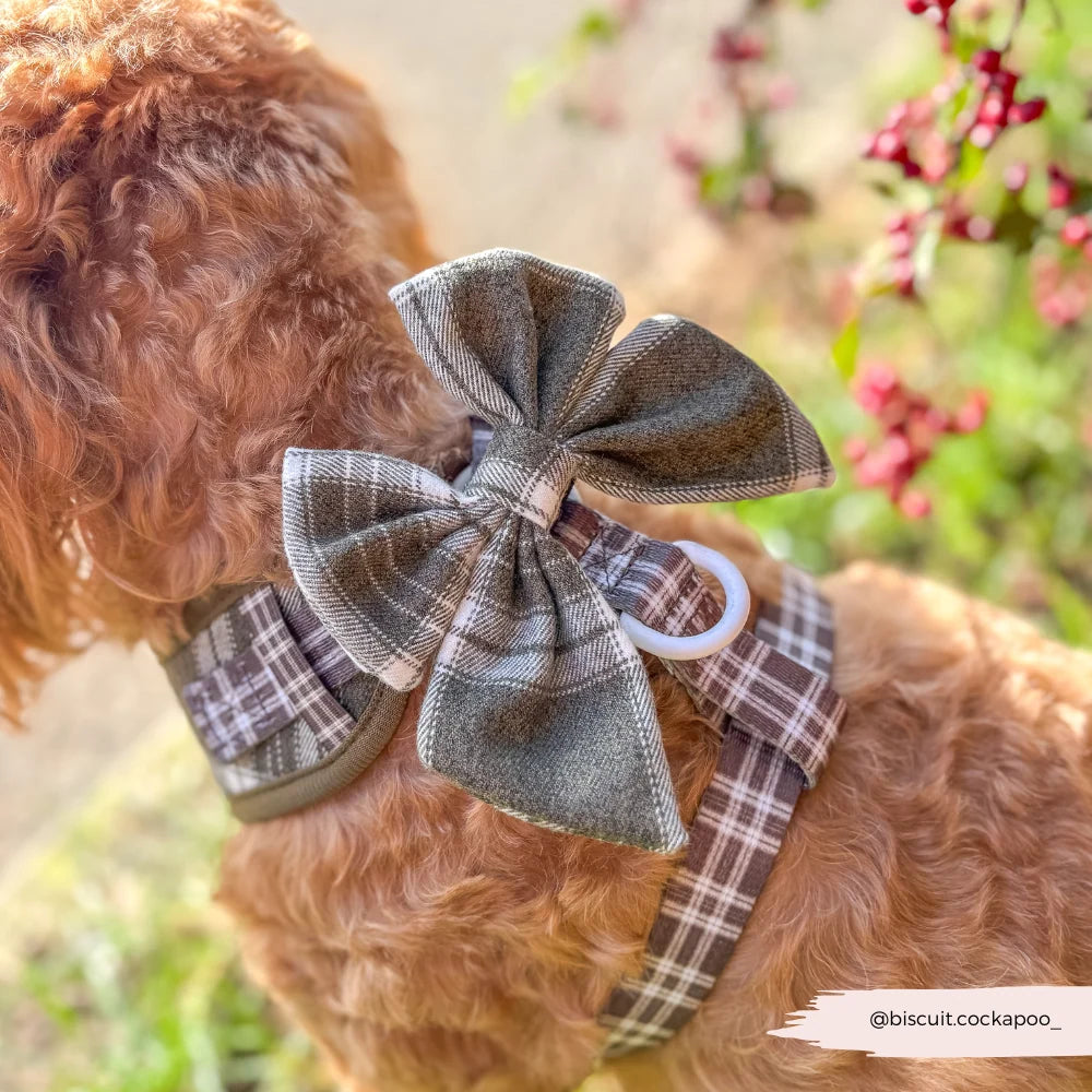 Cocopup Fliege - Pup Plaid Sailor