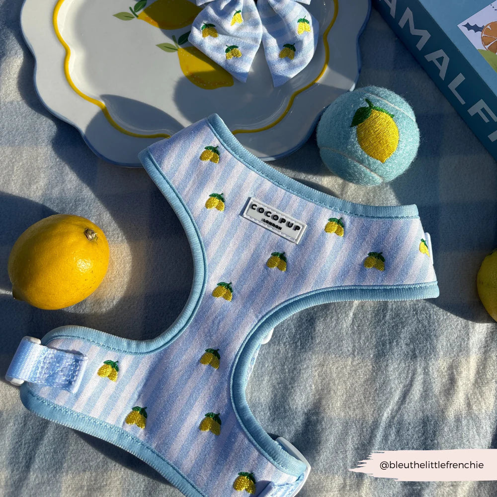 Nastavitelný postroj Cocopup - Living La vida Lemon