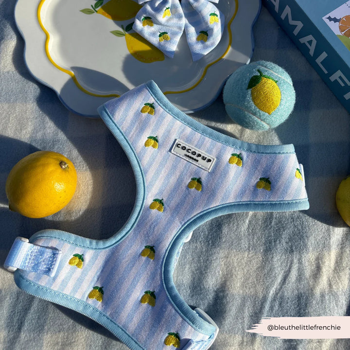 Nastavitelný postroj Cocopup - Living La vida Lemon