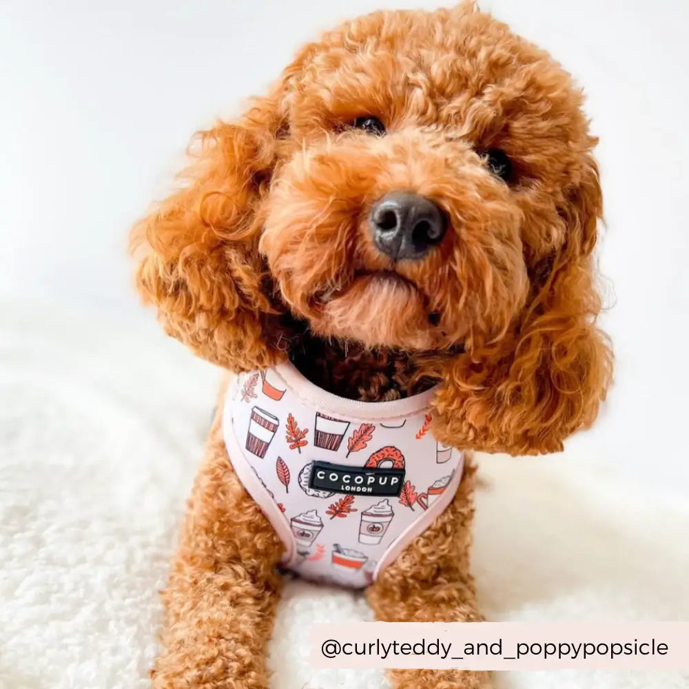 Cocopup Adjustable Harness - Autumn Puppuccino