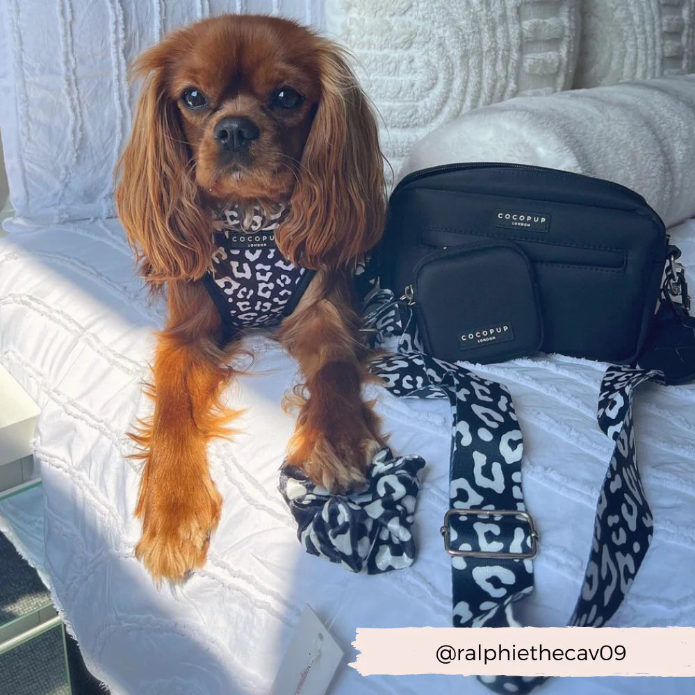 Kapsička na pamlsky CocoPup Black