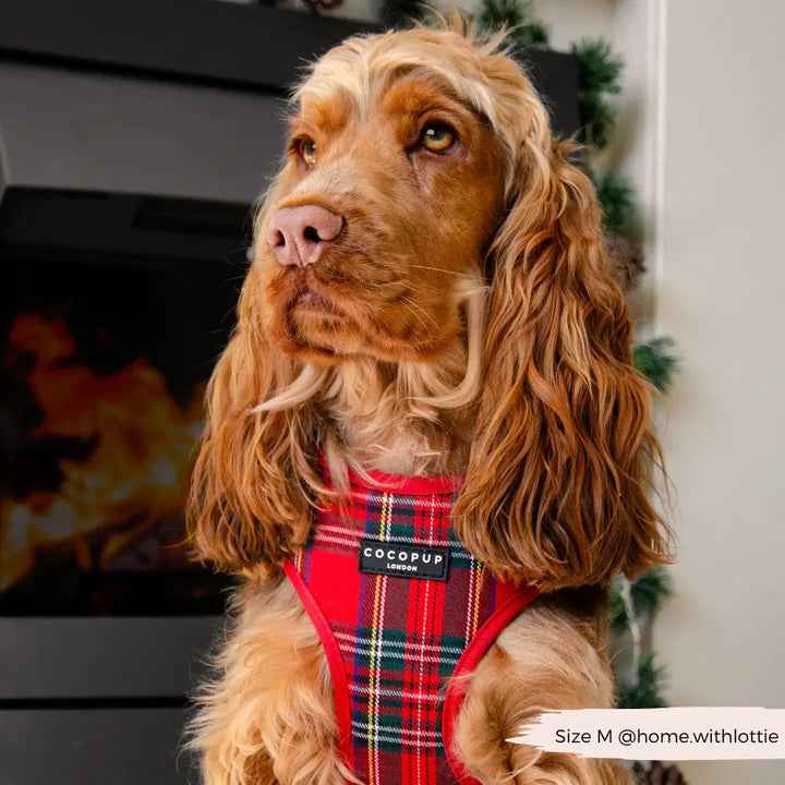 Nastavitelný postroj Cocopup - Tartan