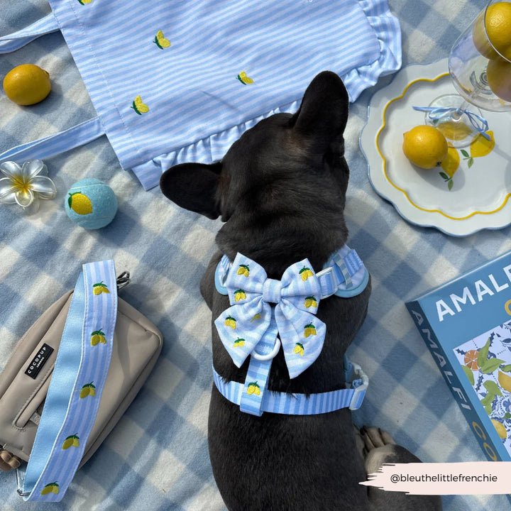 Motýlek Cocopup - Living la vida Lemon Sailor