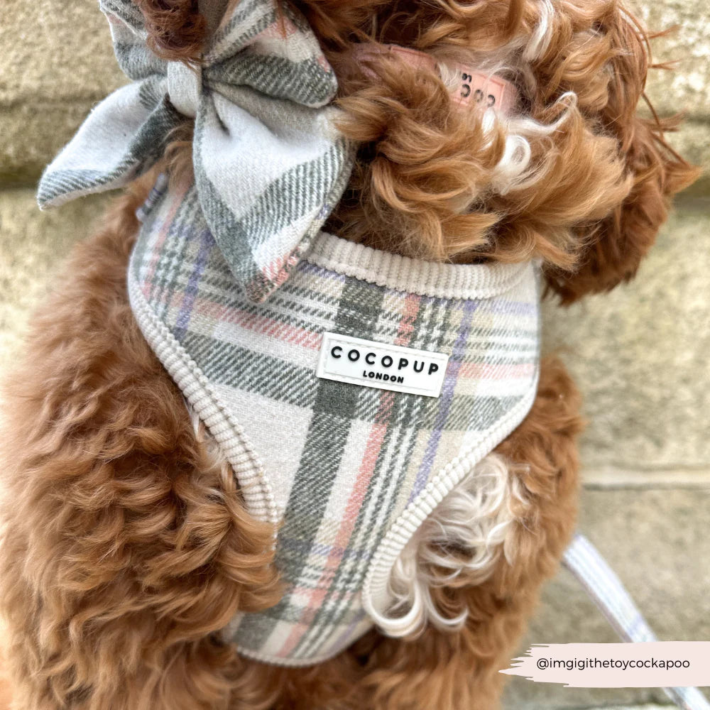 Nastavitelný postroj Cocopup - Spring Plaid