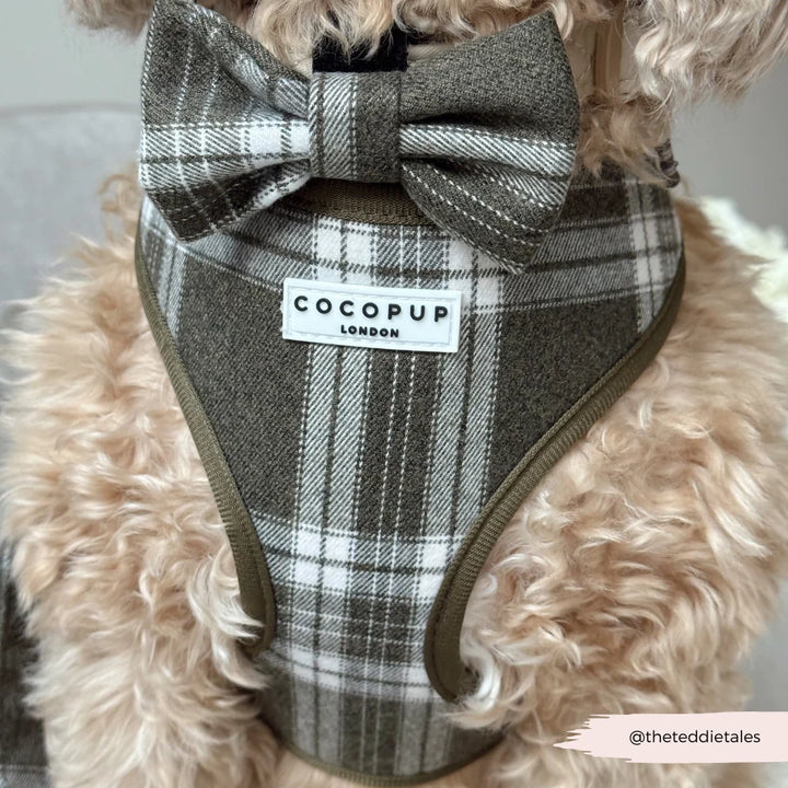 Cocopup Fliege – Pup Plaid