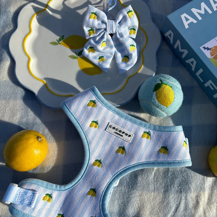 Tenisák Cocopup - Lemon