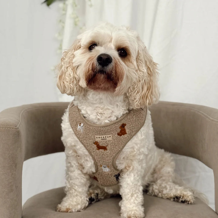 Adjustable harness - Teddy Theo