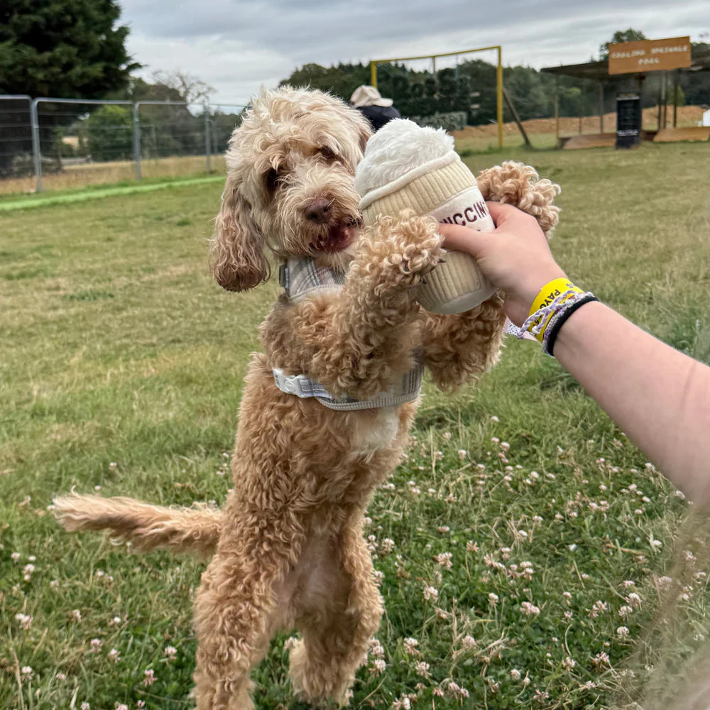 Cocopup hračka Puppuccino