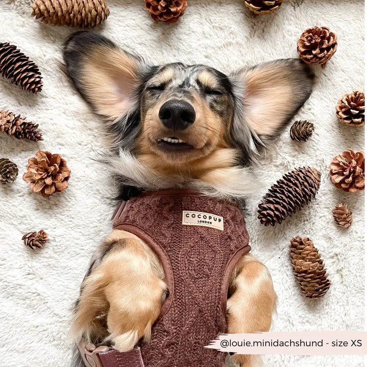 Nastavitelný postroj Cocopup Knit Jumper - Hot Coco