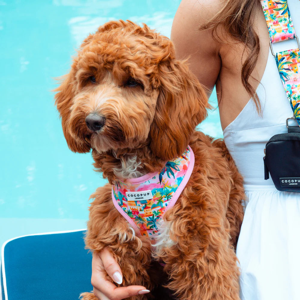 Cocopup Adjustable Harness - Portofino