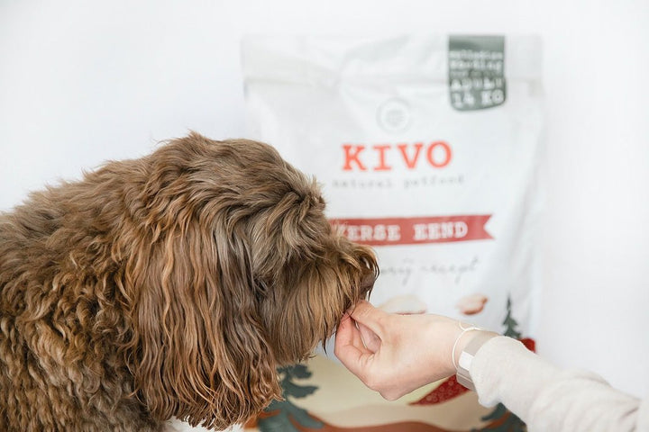 Kivo granule - Čerstvá kachna bez obilnin