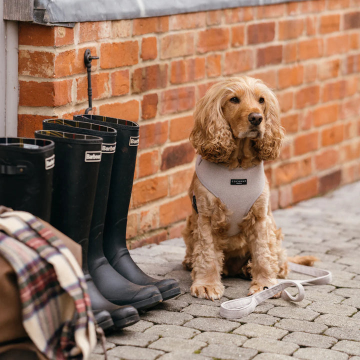 Nastavitelný postroj Cocopup - Tweed Brown