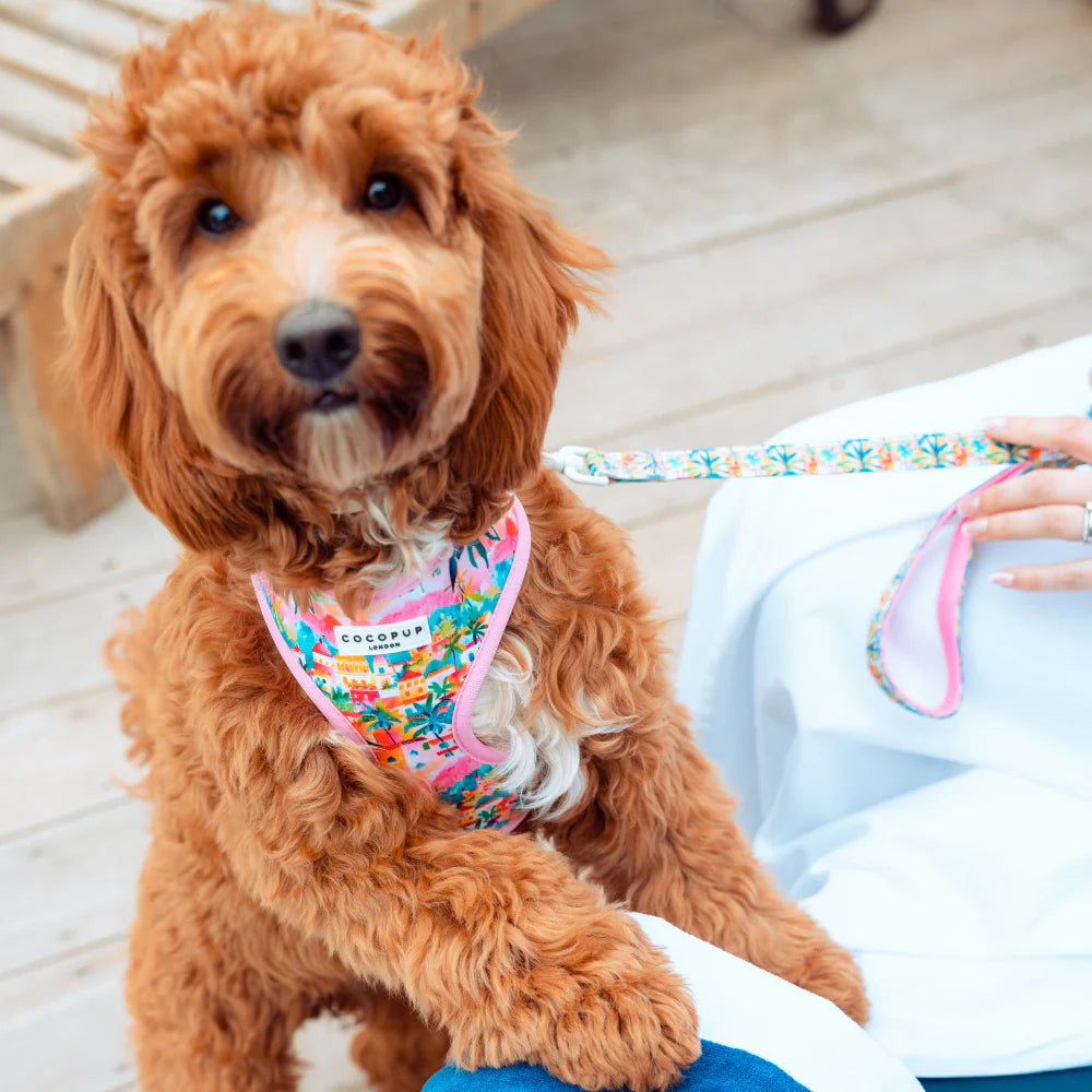 Cocopup Adjustable Harness - Portofino