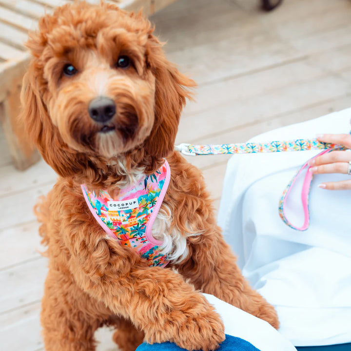 Cocopup Adjustable Harness - Portofino