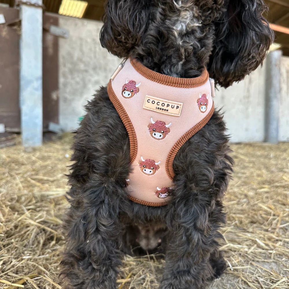 Nastavitelný postroj Cocopup - Harold The Highland Cow