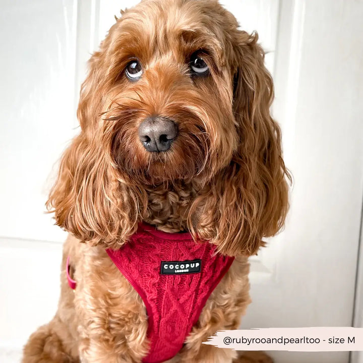 Adjustable Harness Knit Jumper - Mulled Wine