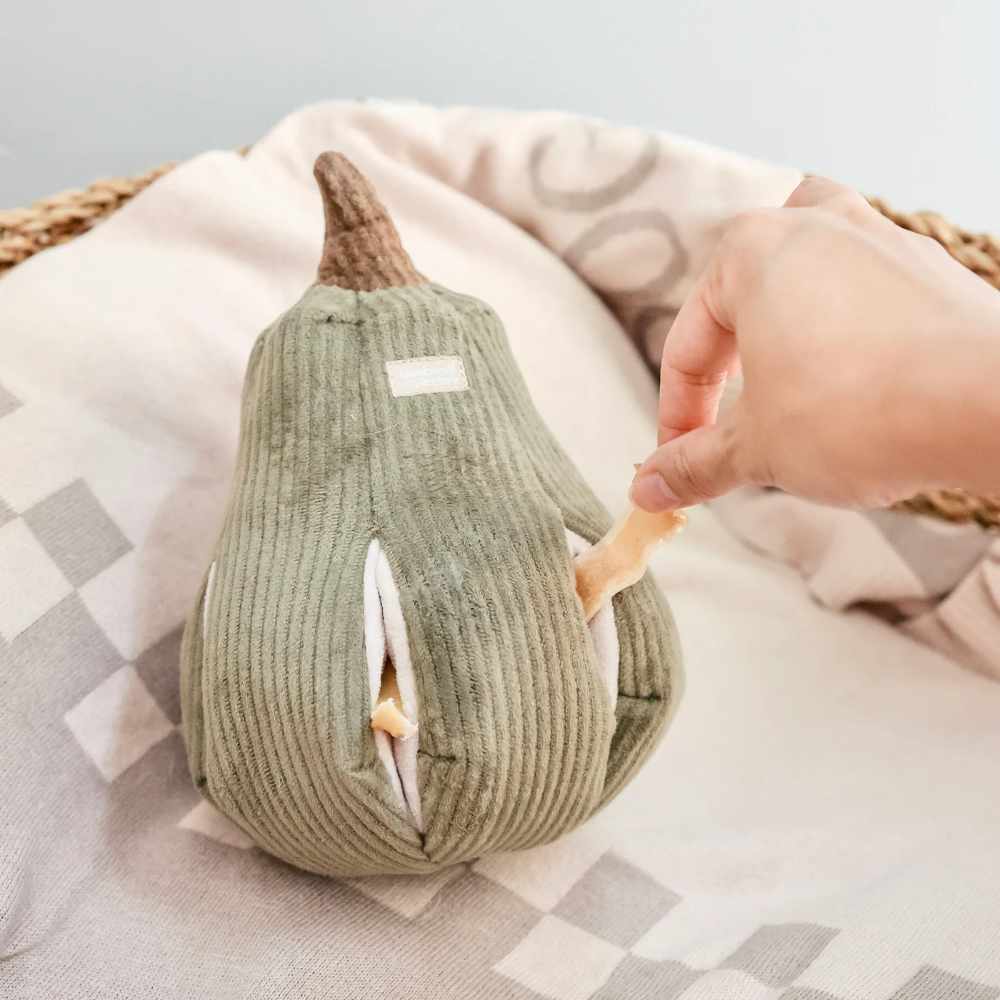 BUTTERNUT – čmuchací dýně