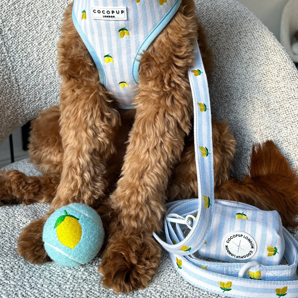 Tenisák Cocopup - Lemon