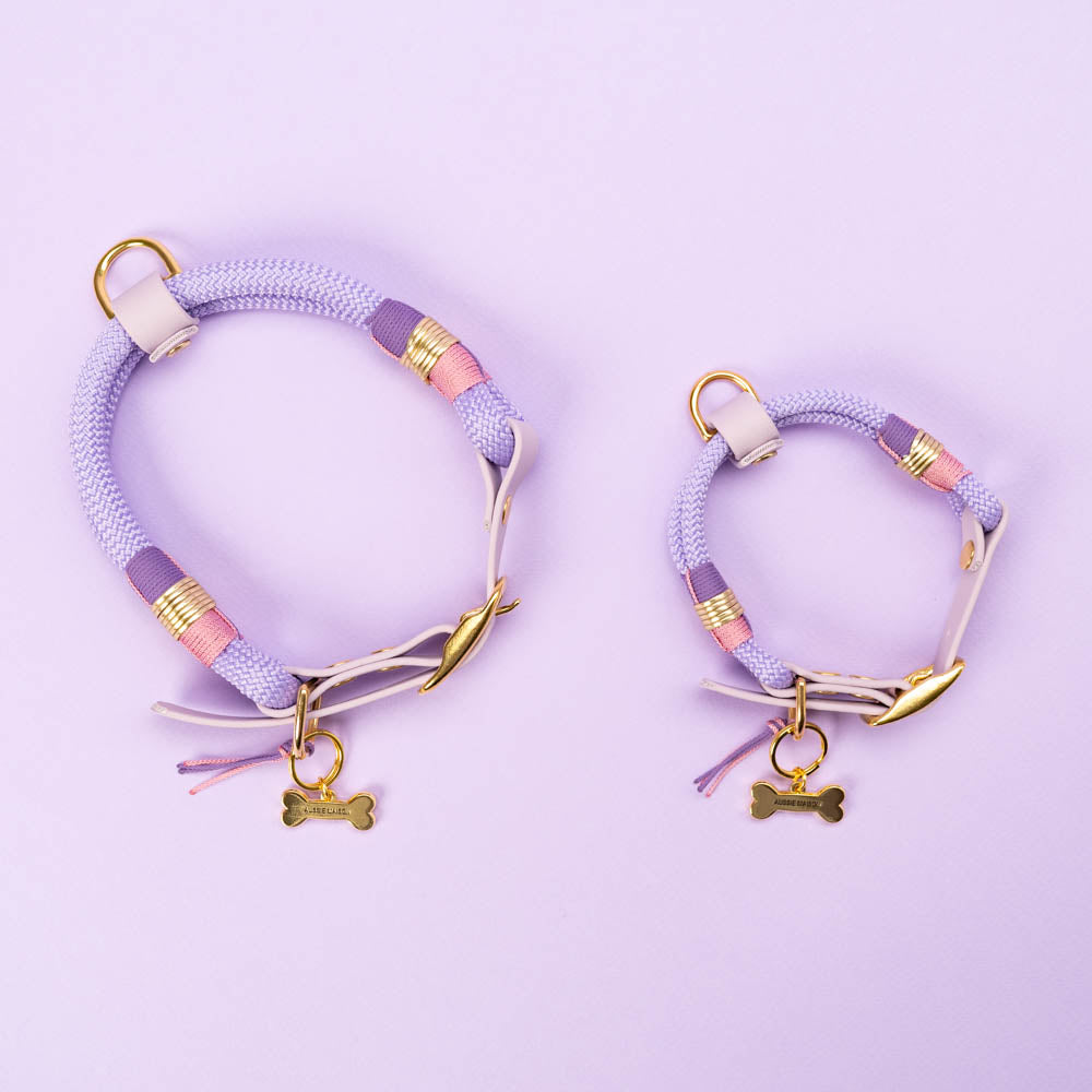 Obojek Aussie Maison - Violet