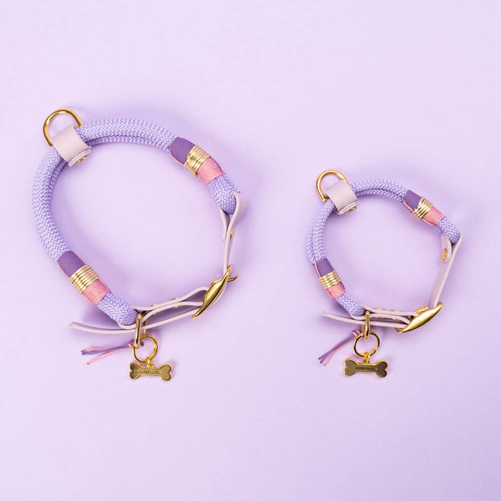 Obojek Aussie Maison - Violet