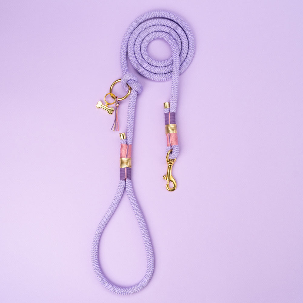 Set Vodítko + Obojek Aussie Maison - Violet – Vodítko Aussie Maison - Violet