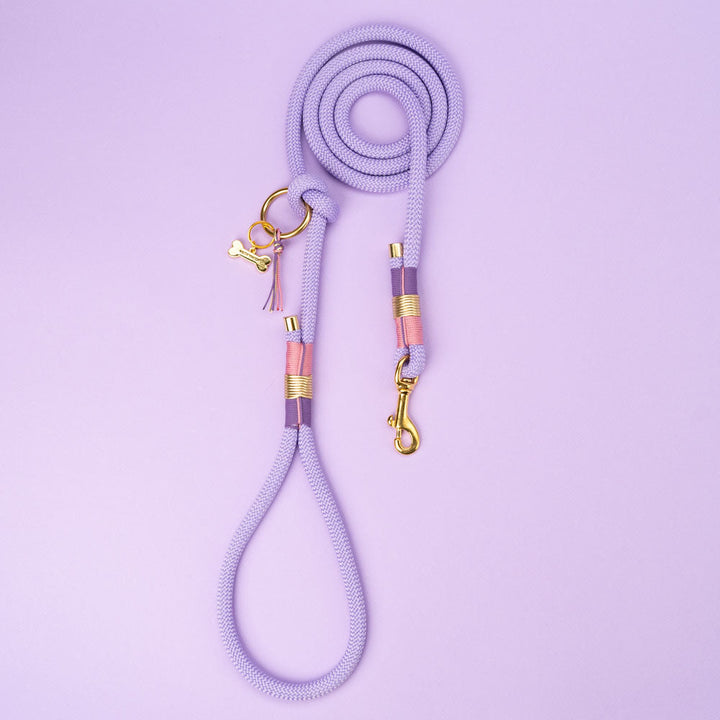 Set Vodítko + Obojek Aussie Maison - Violet – Vodítko Aussie Maison - Violet