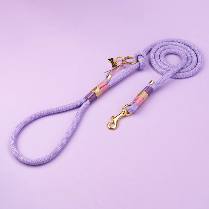 Dog leash Violet