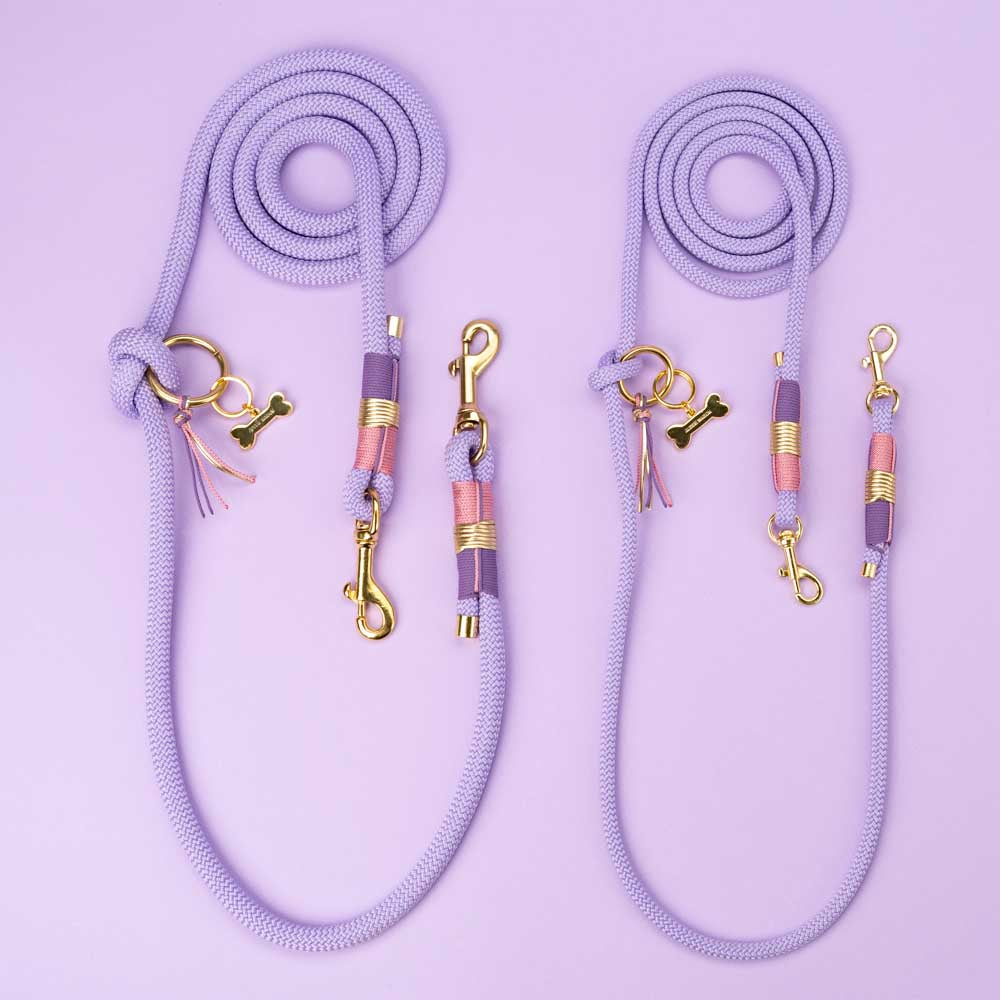 Dog leash Violet