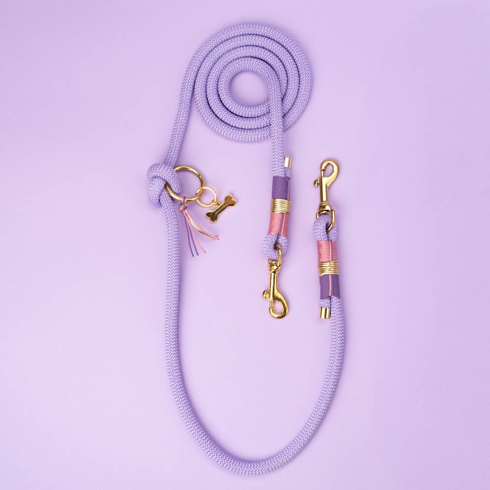 Dog leash Violet