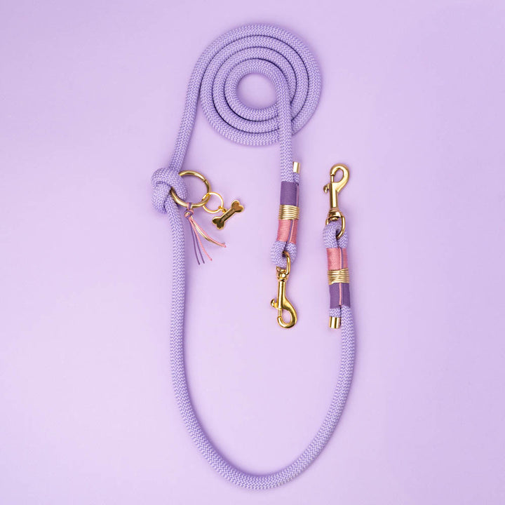 Dog leash Violet