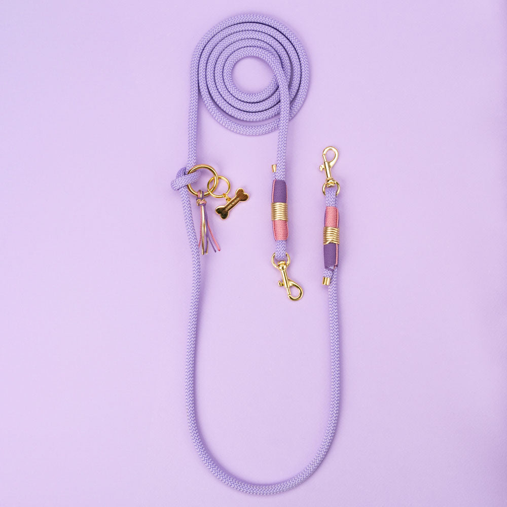 Dog leash Violet