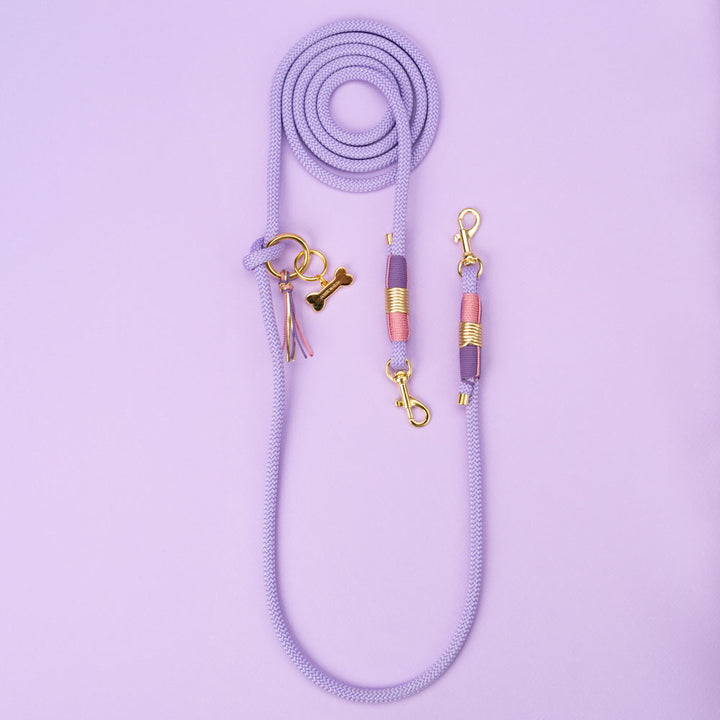 Dog leash Violet