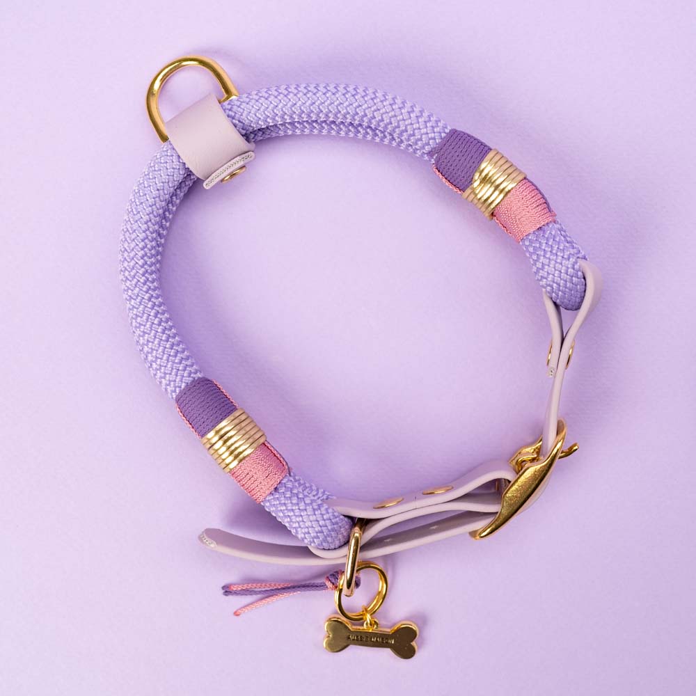 Obojek Aussie Maison - Violet
