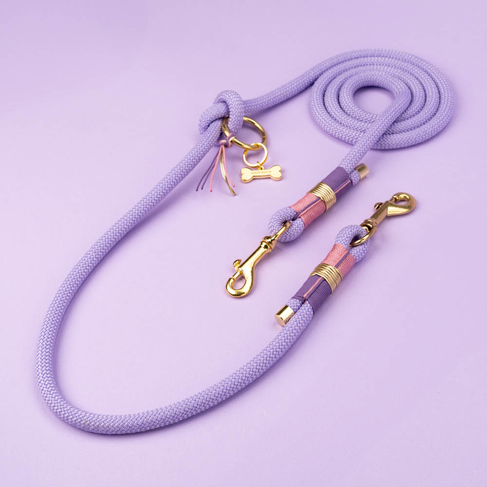 Dog leash Violet