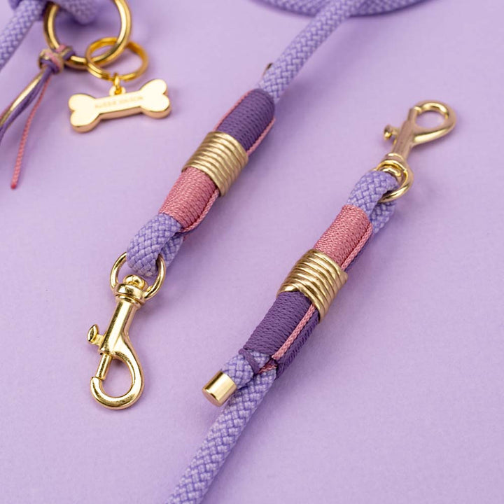 Dog leash Violet