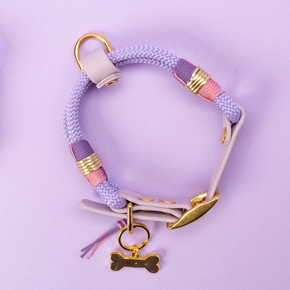 Obojek Aussie Maison - Violet