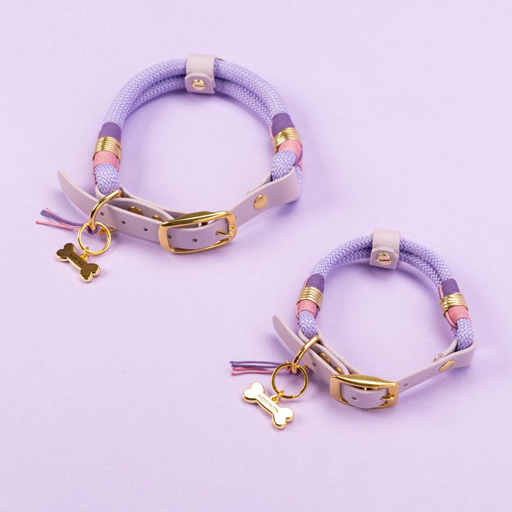 Obojek Aussie Maison - Violet