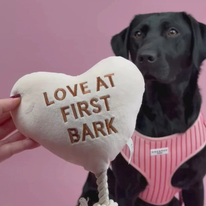 Cocopup hračka Love at first Bark