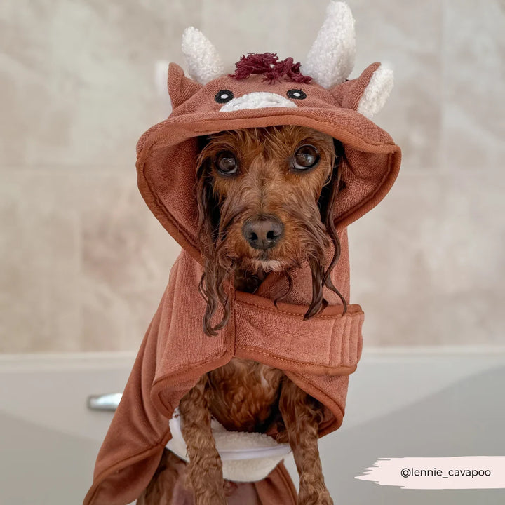 Bademantel Cocopup - Dino