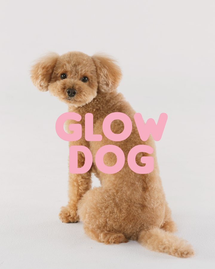 Glow Dog 2v1 – vitaminový šampon &amp; kondicionér