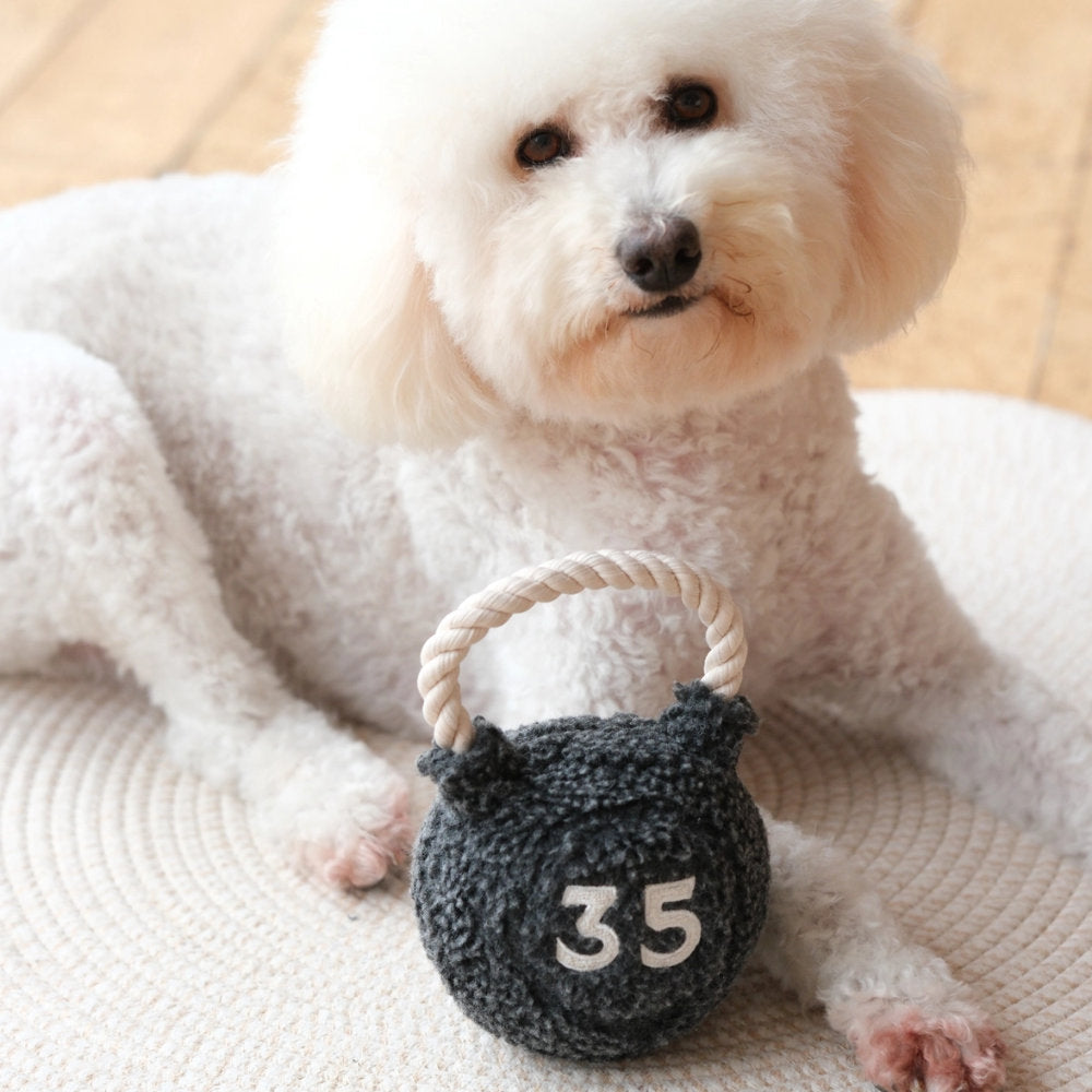 Kettlebell – čmuchací činka