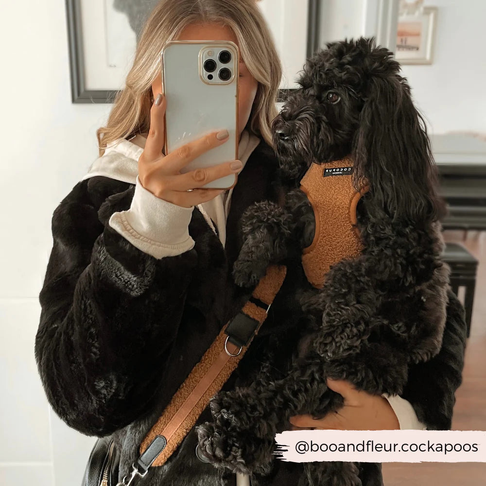Popruh na pamlskovník CocoPup Teddy Paddington
