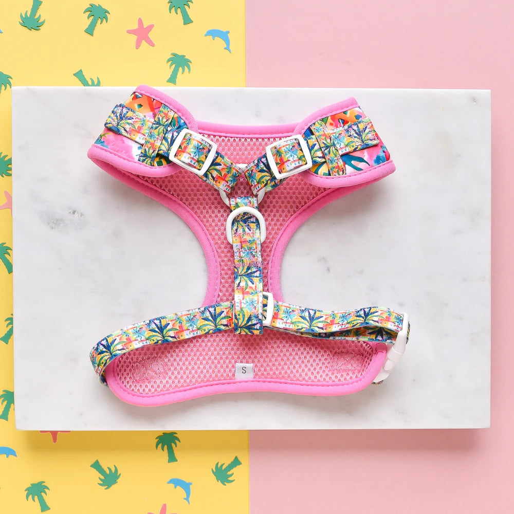 Cocopup Adjustable Harness - Portofino