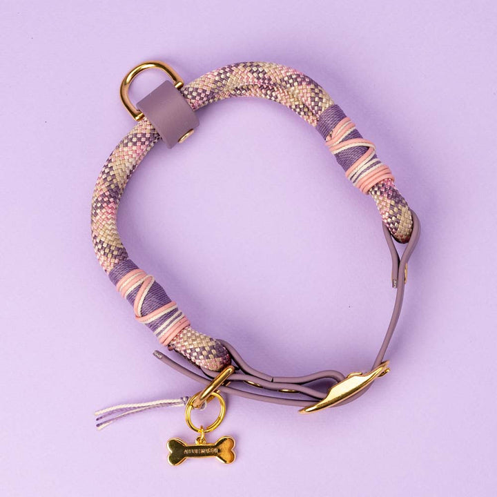 Rose Merle Dog Collar