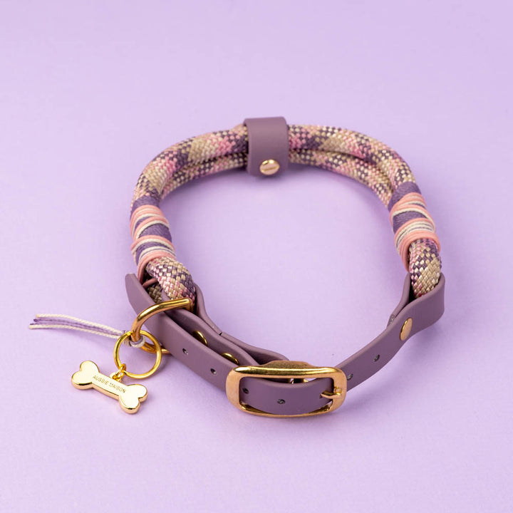 Rose Merle Dog Collar
